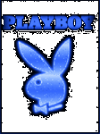 pic for playboy colours